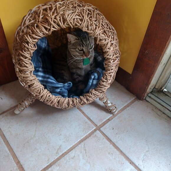 Homemade FiberRush Cat/Dog Bed small/med - Picture 4 of 16